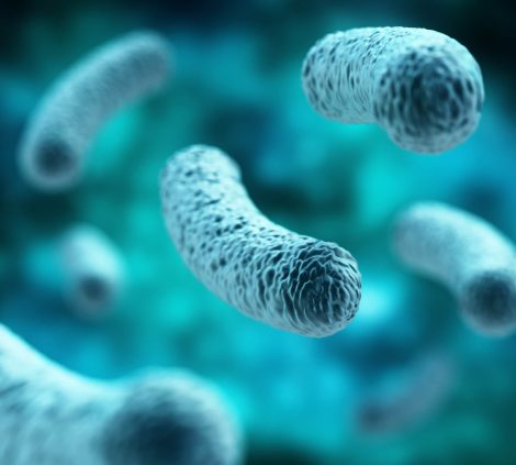 Proactive and reactive Legionella monitoring