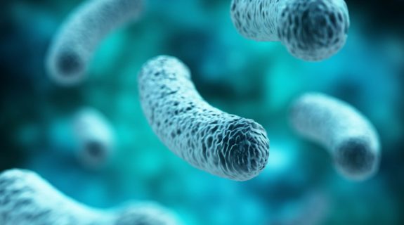 Proactive and reactive Legionella monitoring